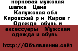 норковая мужская шапка › Цена ­ 3 000 - Калужская обл., Кировский р-н, Киров г. Одежда, обувь и аксессуары » Мужская одежда и обувь   